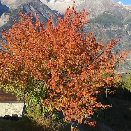 Appartamento Haus Panorama Brandalp *